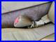 1999_2000_2001_2002_2003_2004_2005_2006_Jaguar_Xk8_Left_Front_Seat_Belt_Buckle_01_goop