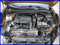 KIA Sportage 2019 Used Black Seat Belt & Retractor No Buckle 64000 Miles