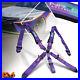 NRG_SBH_B6PCPP_SFI_16_1_Cam_Lock_Buckle_5_Point_Racing_Harness_Seat_Belt_Purple_01_hr