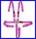 Nascar_Harness_5_Point_2_YOUTH_1_8m_SFI_Approved_Race_Seat_Belt_Buckle_PINK_01_gr
